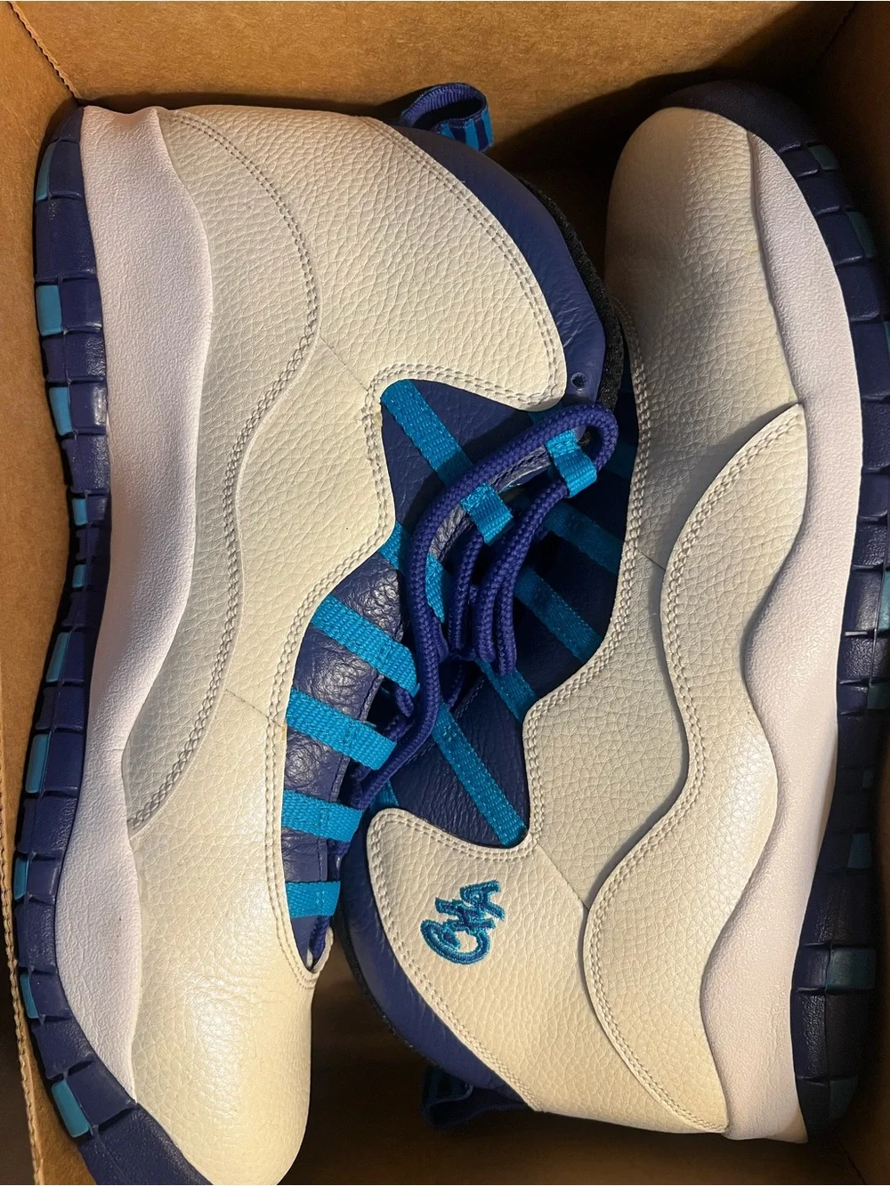 Nike Jordan 10 City Edition-Charlotte Hornets Mens 13